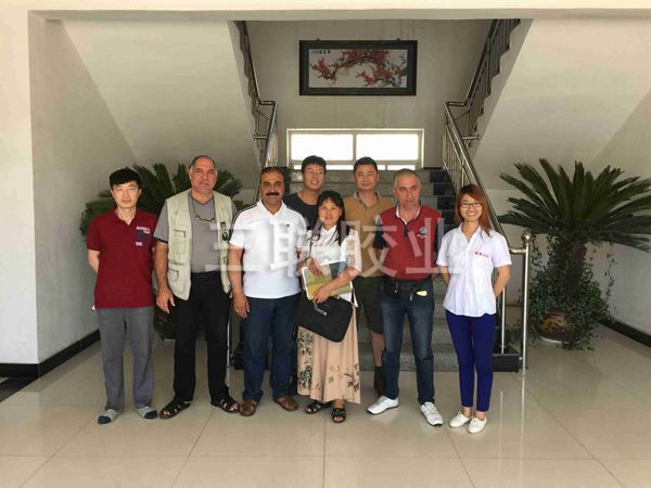 15年伊拉克萨阿德合